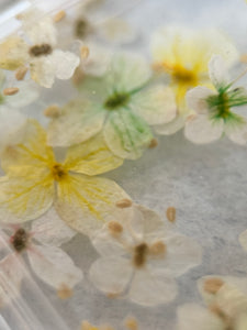 MINI DRY FLOWERS