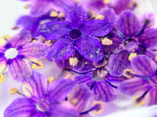 Dry flowers DAYSI 20 unidades