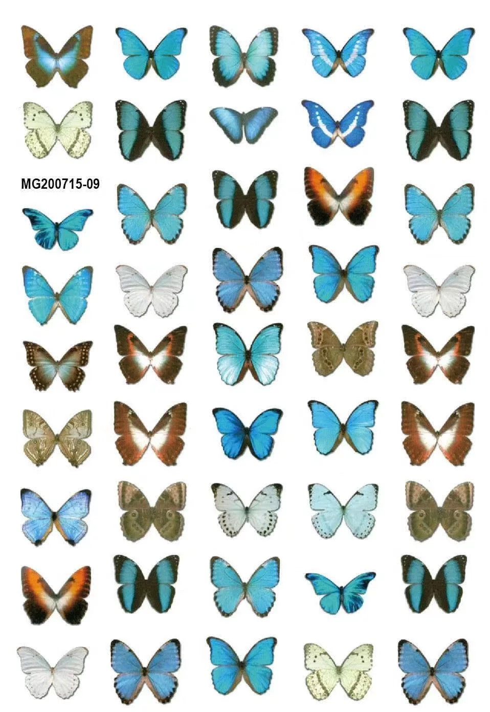 Butterfly Sticker MG200715-09