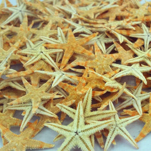 Starfish Natural Nail Art